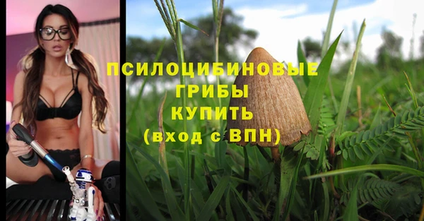амф Армянск